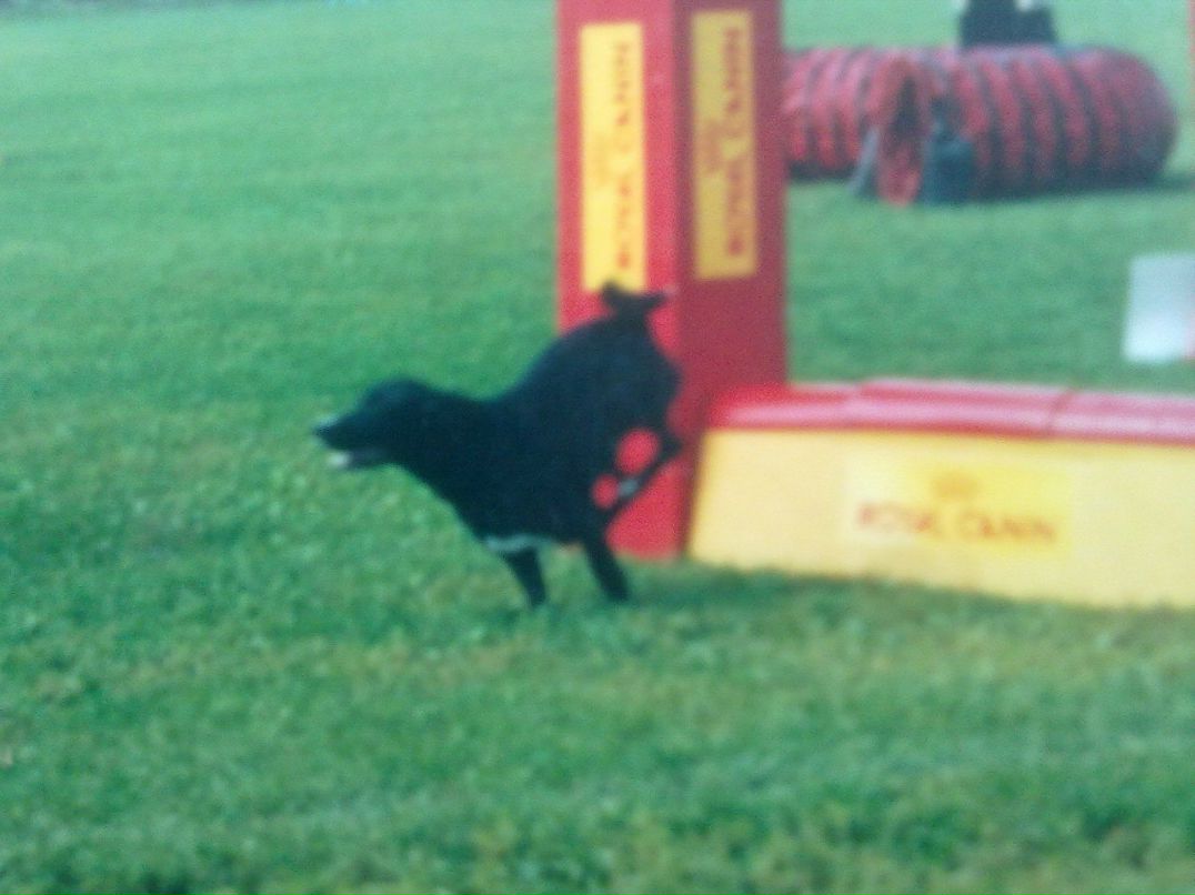 Екатерина Юданова Vaiin | Москва