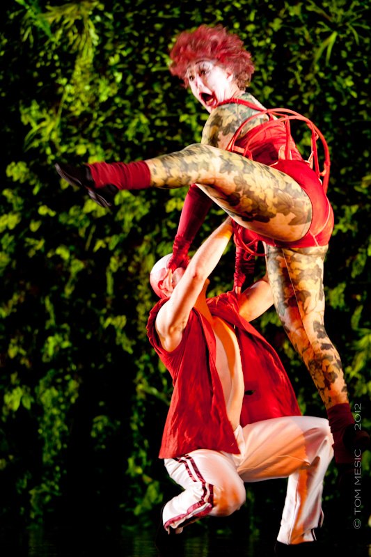 Александр Новиков | 