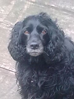 Ольга Емельянова Михайловна | Красноярск