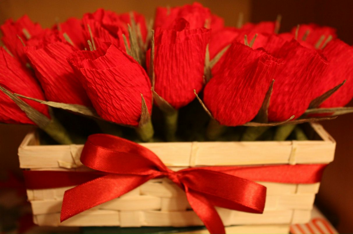 Полина Захарова | Санкт-Петербург