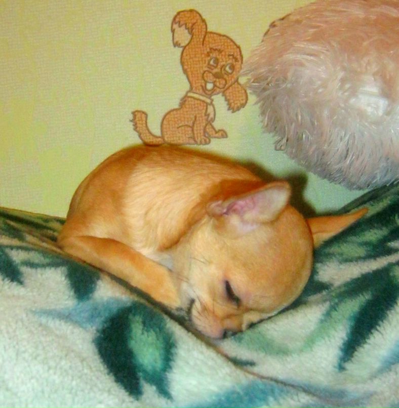 Наталья Федотова Ecstasy | Балаково