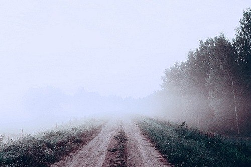 Алина Полыхаева | Днепр (Днепропетровск)