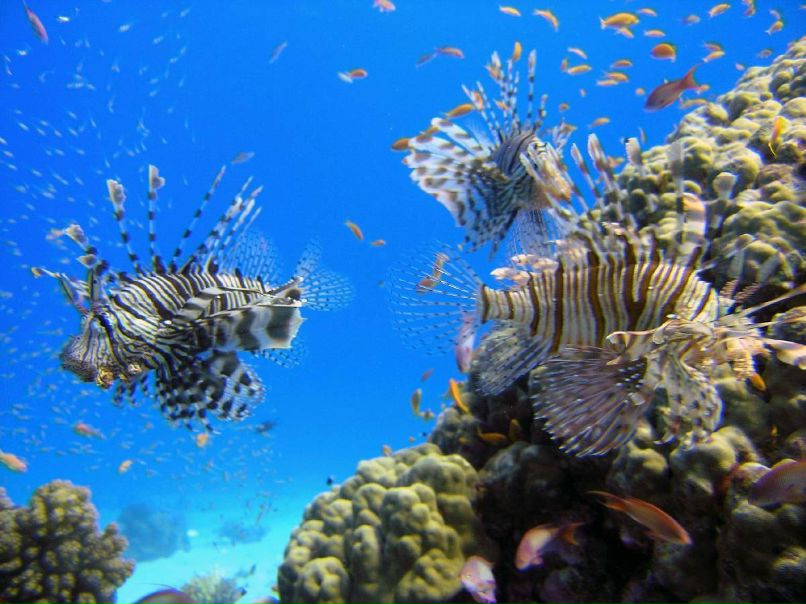 Андрей Еговцев | Краснокамск