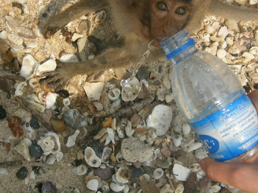 Алина Лапшина | Москва