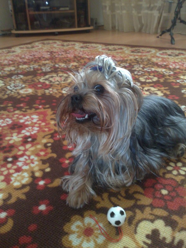 Борис Баталин ~ BRITVA ~ | Калининград