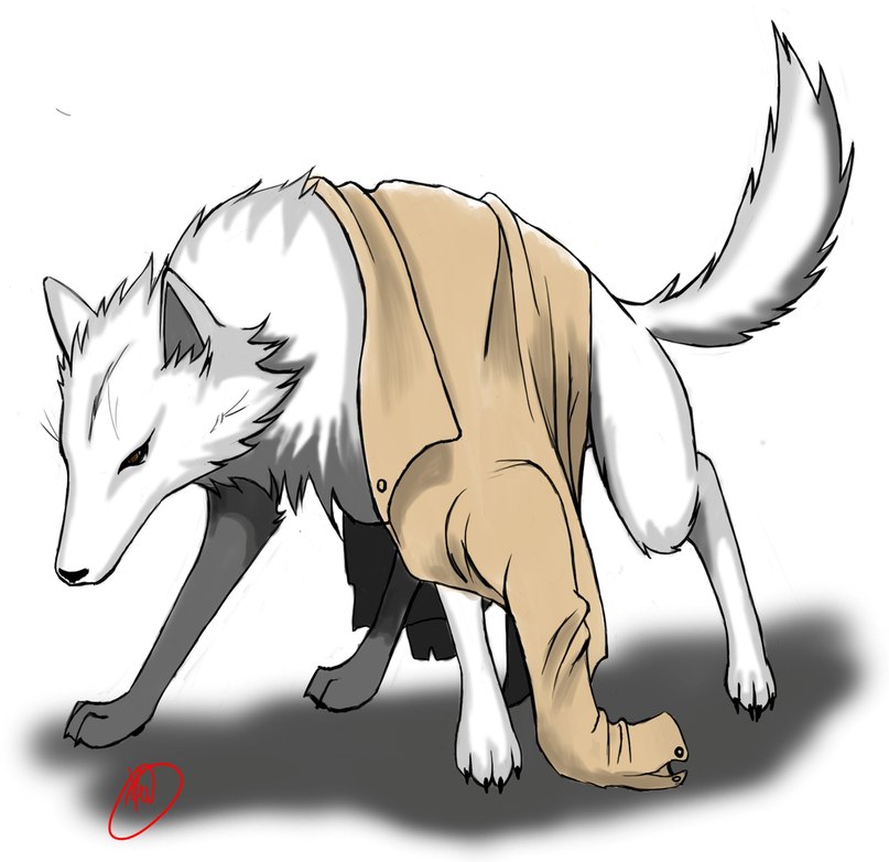 Иван Кузьменков | Санкт-Петербург