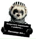 Фотография Рома Журин