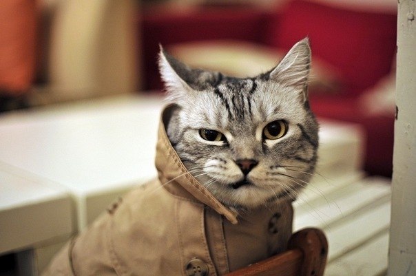 Евгения Primavera ♥ | Москва