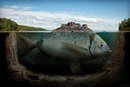 Фотография Соломиной Ольги