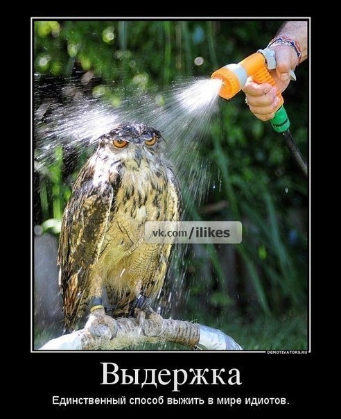 Марина Остапенко | 