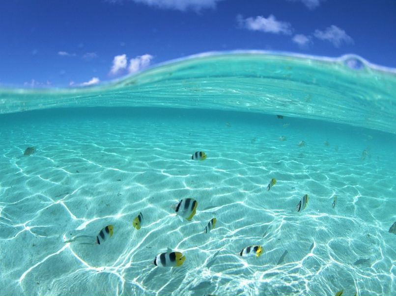 Лиза Калиниченко | Омск