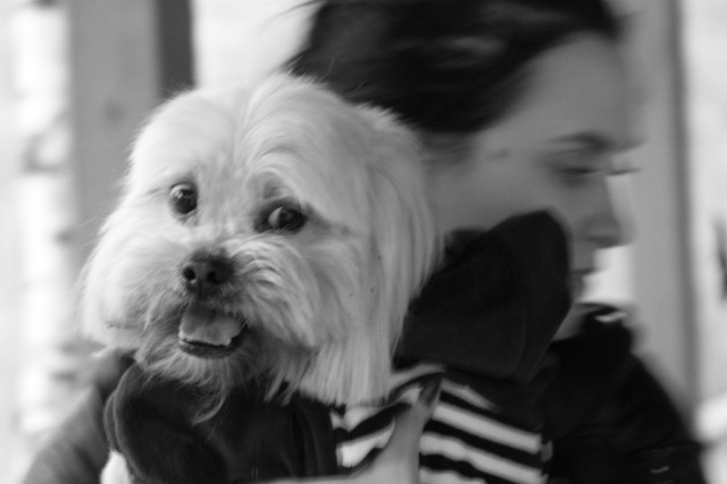 Евгения Берус | Новосибирск