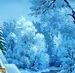 Гульшат Валиуллина фотография #34
