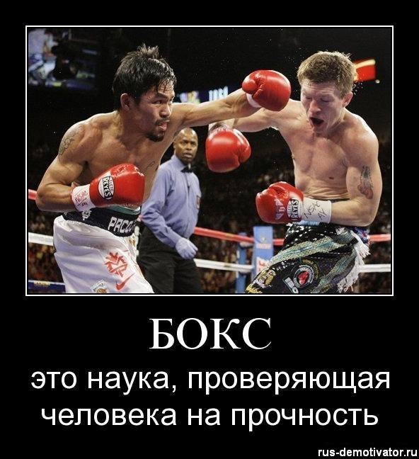 Дмитрий Логинов | Тольятти