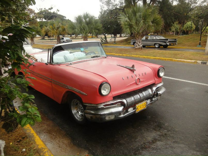 Рома Дашкевич | Мурманск