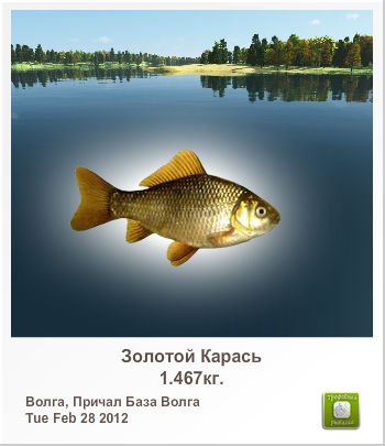 Дмитрий Мартынов | 