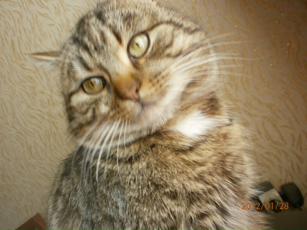 Леся Черненко | Черкассы