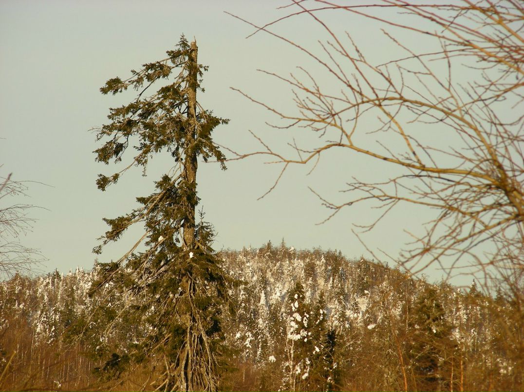 Владимир Бычин | Красновишерск