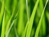 Екатерина Фокичева | Омск