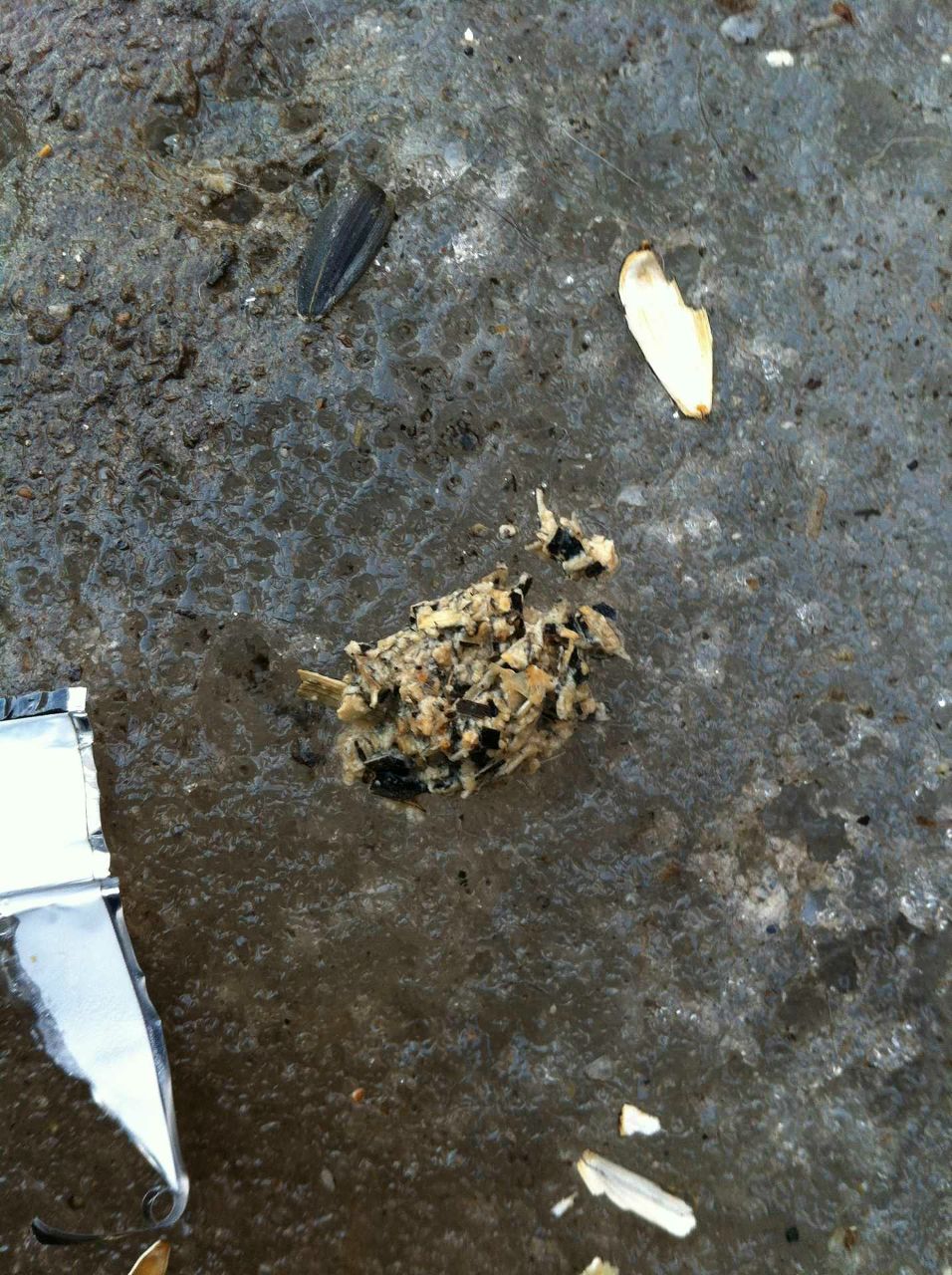 Рома Дубовой | Кропивницкий / Кировоград