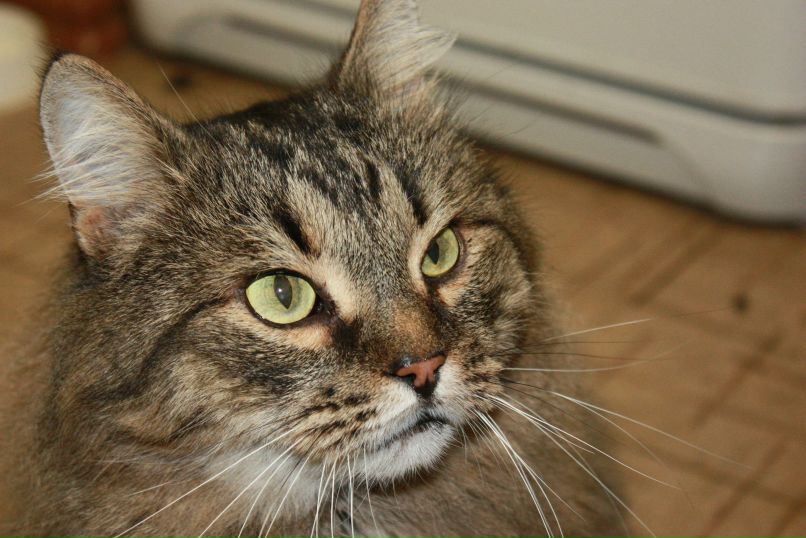 Алексей Крутских | 