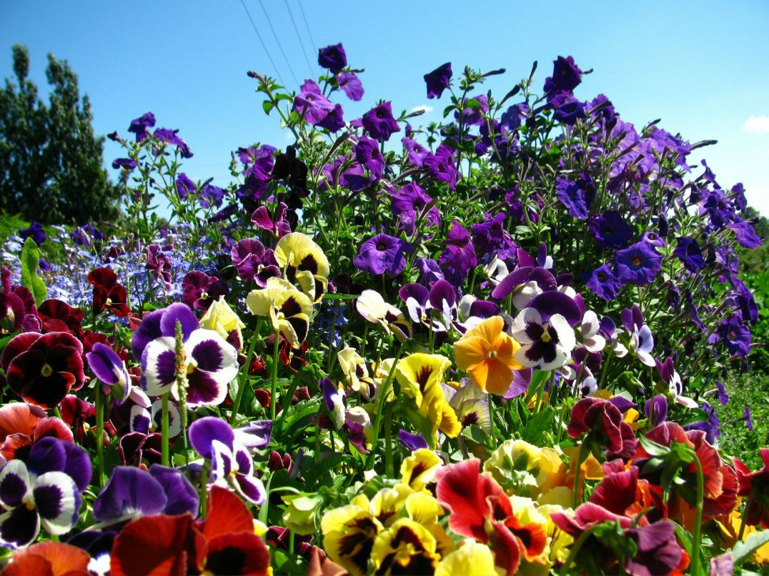 Вера Акилова | Пермь