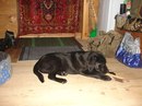 №1 Татьяна Коблова