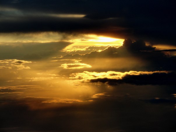 №7, Любовь Косыгина №7, Любовь Косыгина