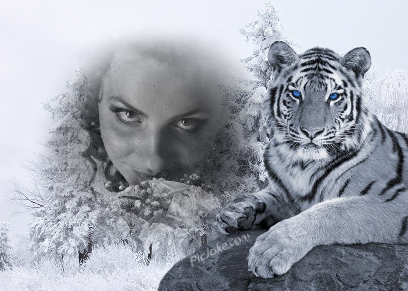 Наташа Мулик | Черновцы