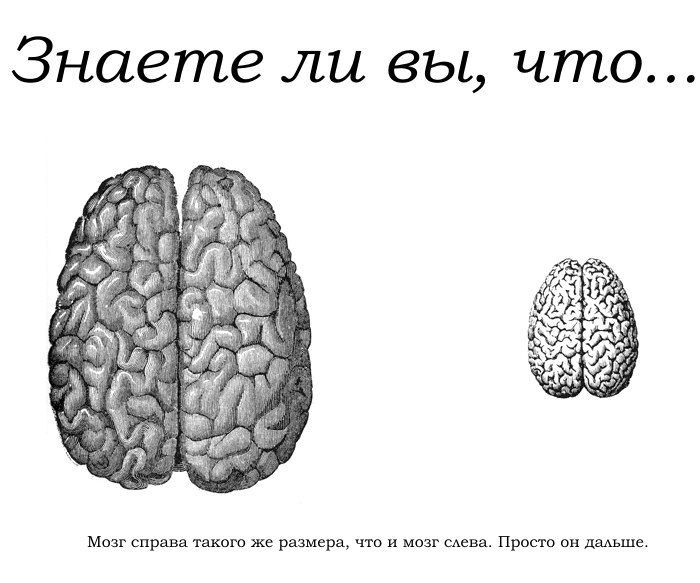 Александр Сокур van der | Кривой Рог