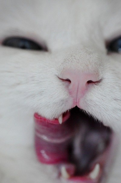 Алёна Золотова Игоревна | Касимов