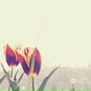 Катя Тында | Пенза