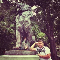 Александр Гаврилов