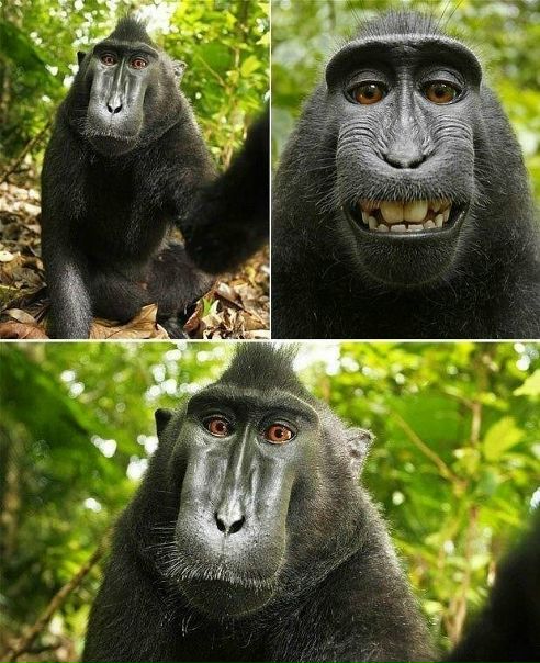 №17, Никита Совершаев, Сыктывкар №17, Никита Совершаев, Сыктывкар