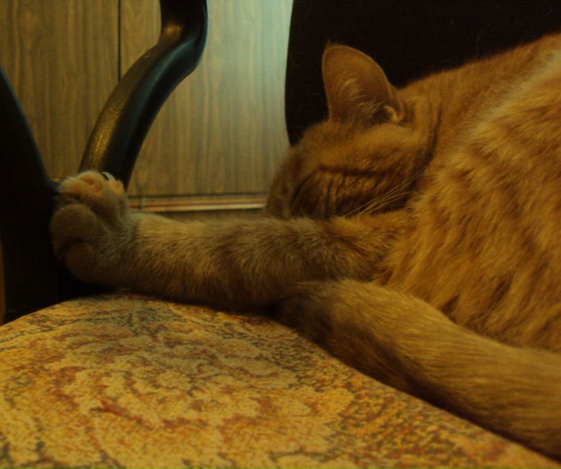 Аркадий Баранов | 