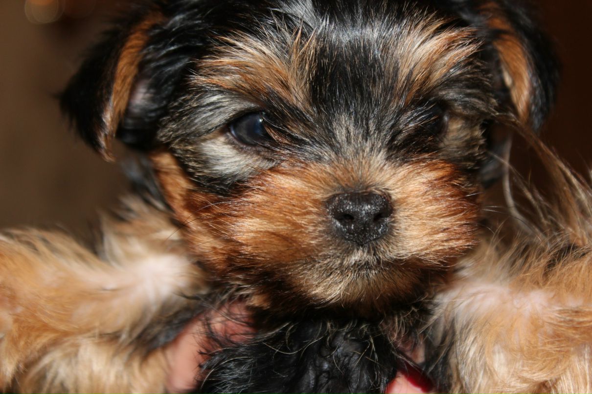 Юля Демченко | Донецк