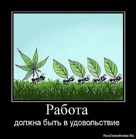 №96, Павел Дорогинский, 47 лет, Москва №96, Павел Дорогинский, 47 лет, Москва