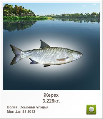 Михаил Аверченко | Рига