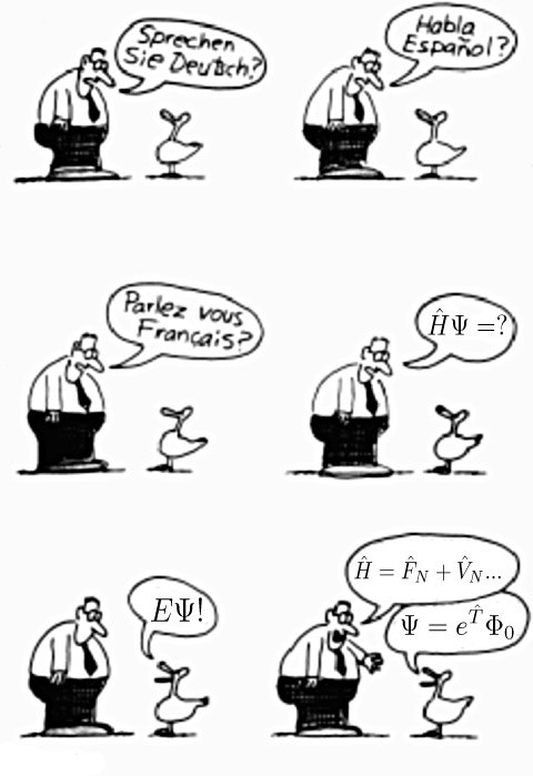 Alexander Sokolov | Columbus