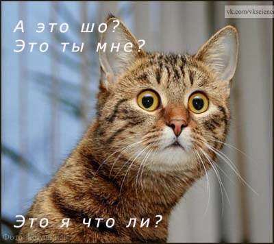 Татьяна Грибова | Санкт-Петербург