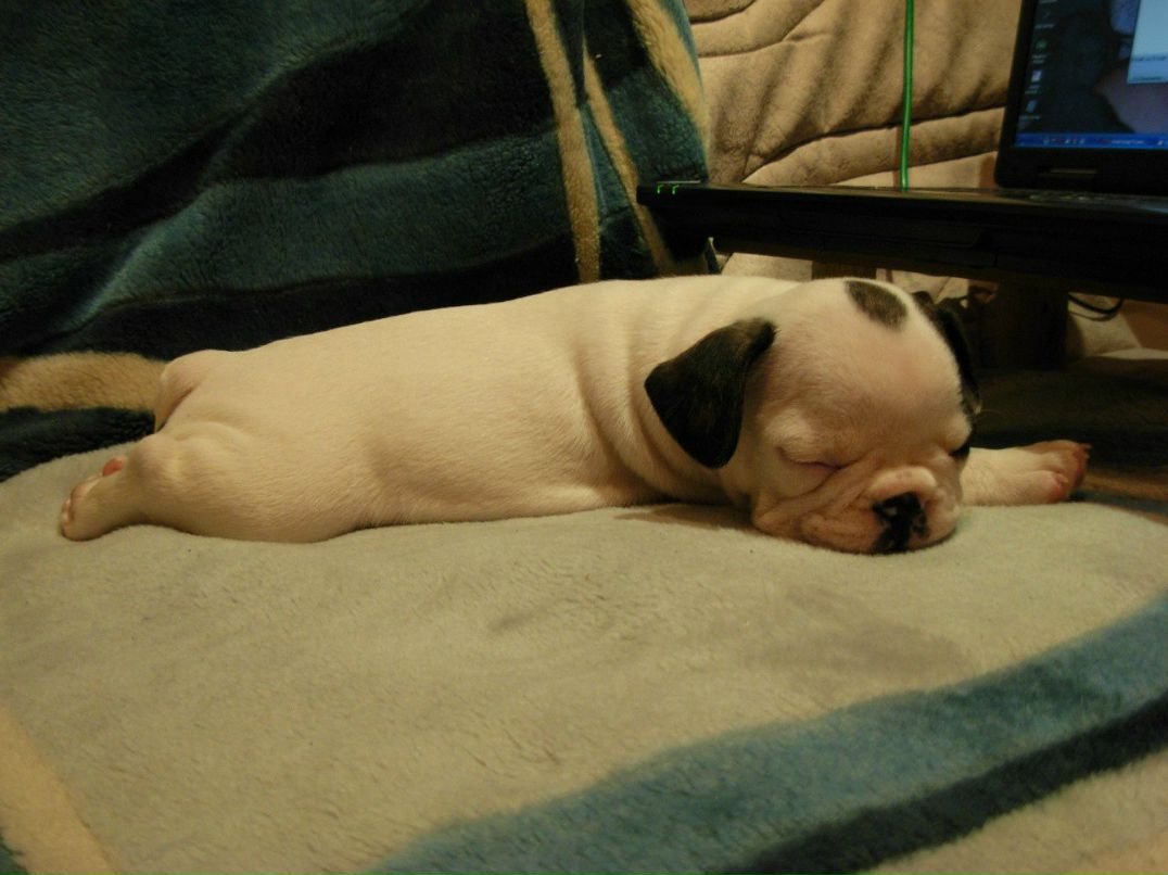 Ксения Дыгерн | Москва