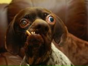 №3, Светлана Рябова, 7.12, Самара, Россия