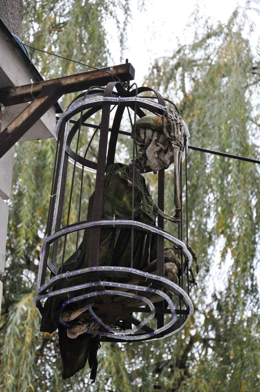 Alexxx Kornienko | Санкт-Петербург