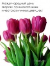 №20 Лика Шулика