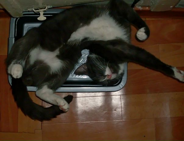 №21, Кира Александровна, Тверь №21, Кира Александровна, Тверь