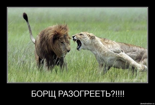 Татьяна Негрескул-Владычкина | Москва