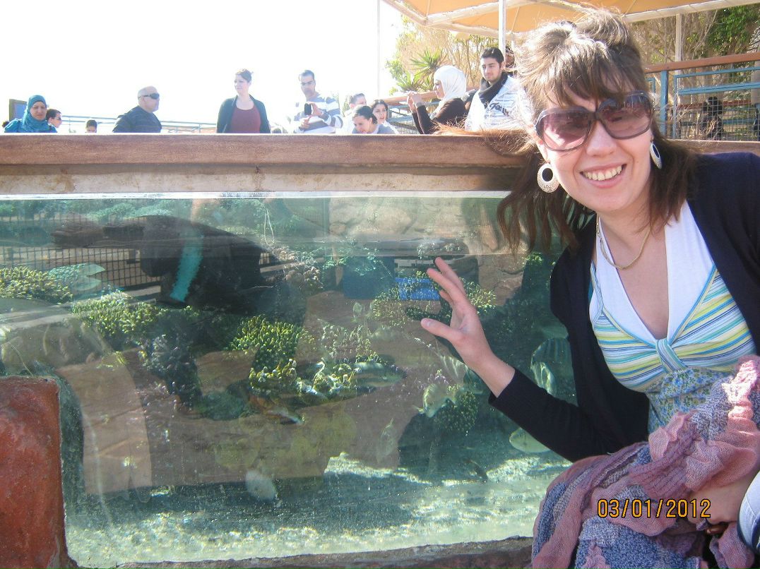 Ирис Ка | Беэр Шева