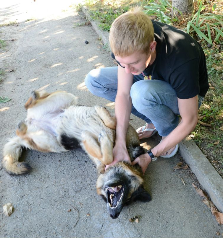 Дмитрий Жданов | Ростов-на-Дону