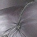 №29, Катя Чех №29, Катя Чех