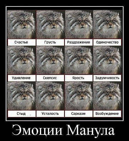 №168, Татьяна Фролова-Ваулина, Москва №168, Татьяна Фролова-Ваулина, Москва
